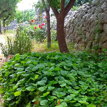 Masseria Nenetta