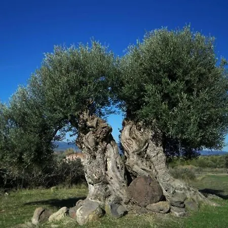 Masseria Nenetta